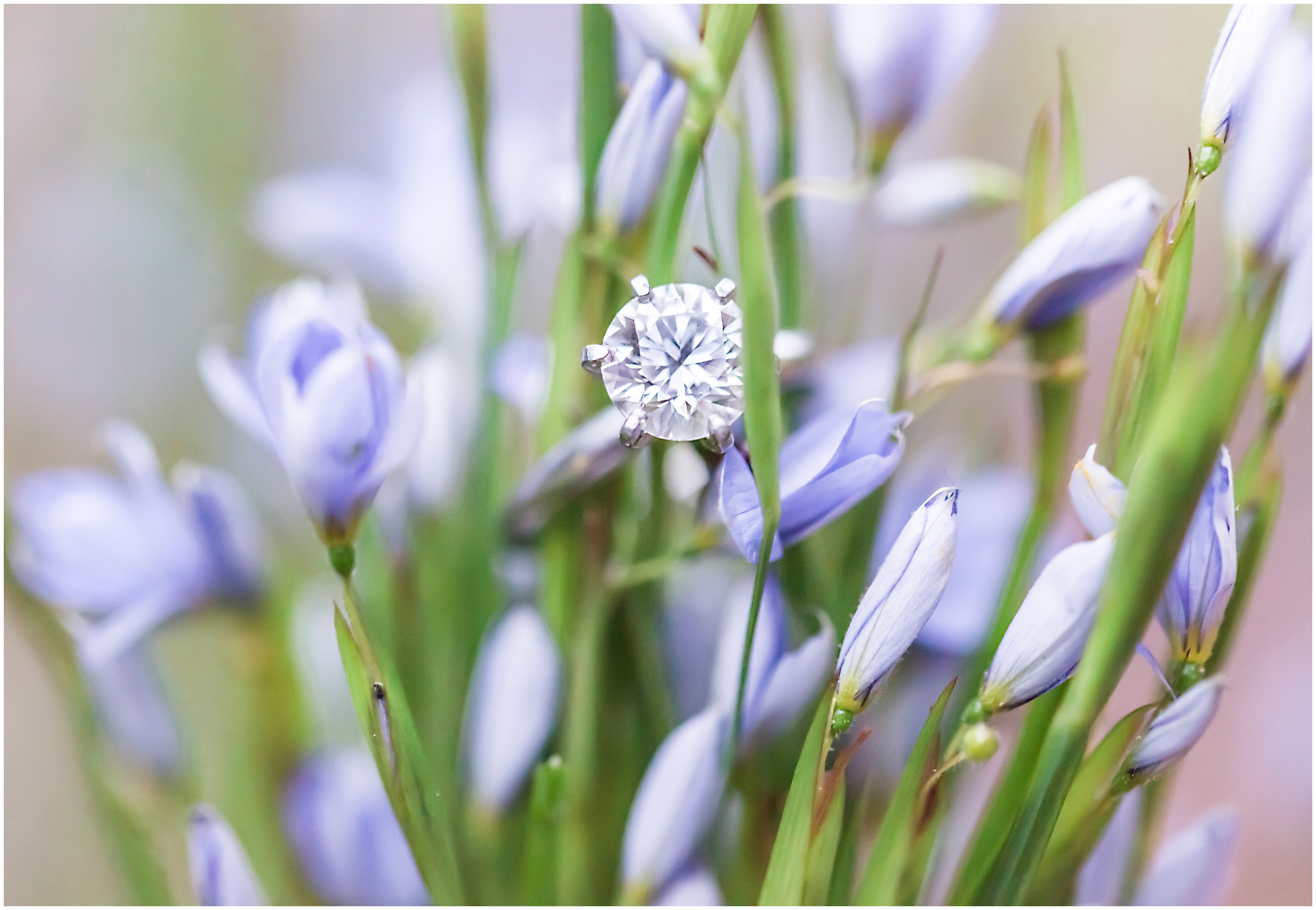 Engagement ring, solitaire, diamond
