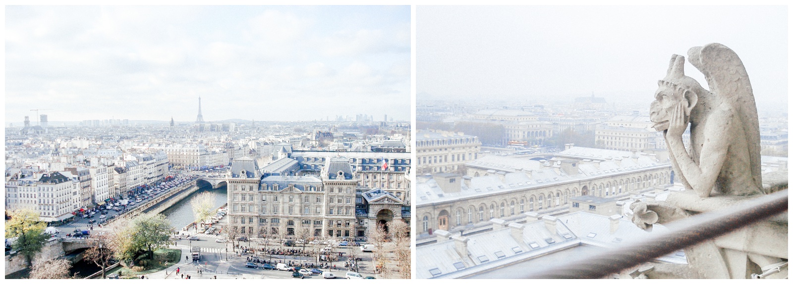view of Eiffel Tower from Notre Dame, gargoyle overlooking Paris