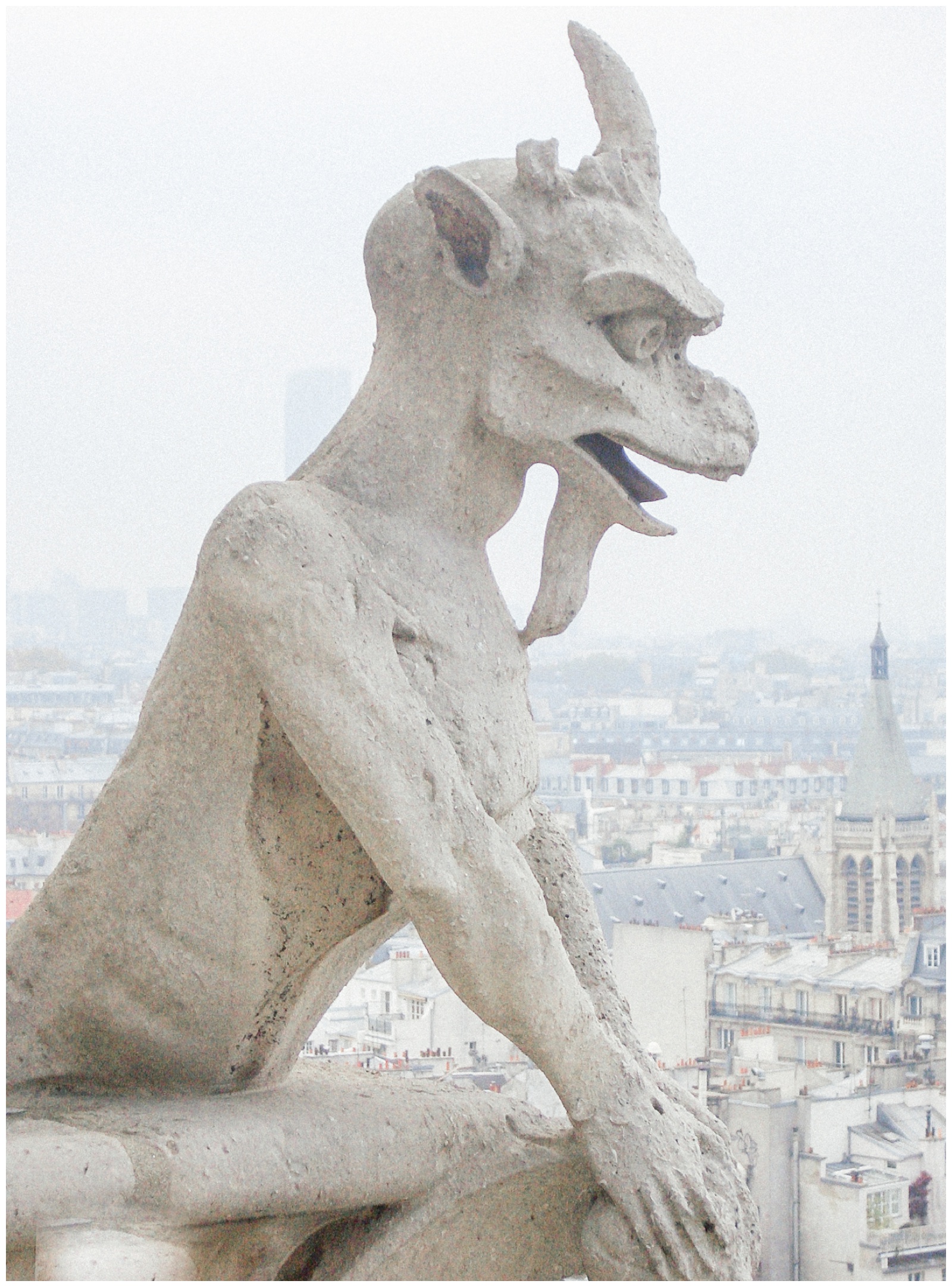 gargoyle on Notre Dame, Paris, France