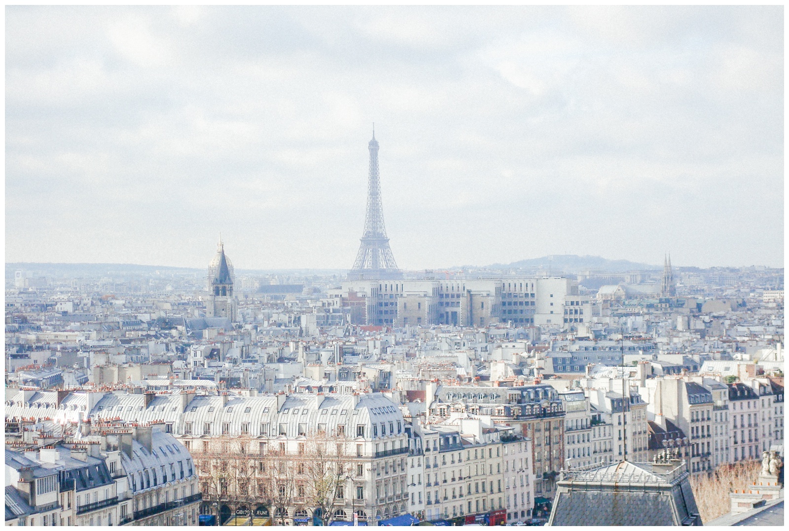 view of Eiffel tower from Notre Dame, Paris, France