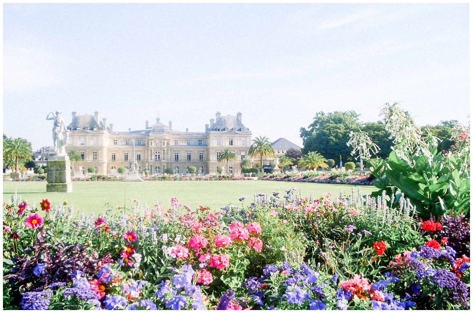 pink, purple flowers, Jardin du Luxembourg, Paris, France
