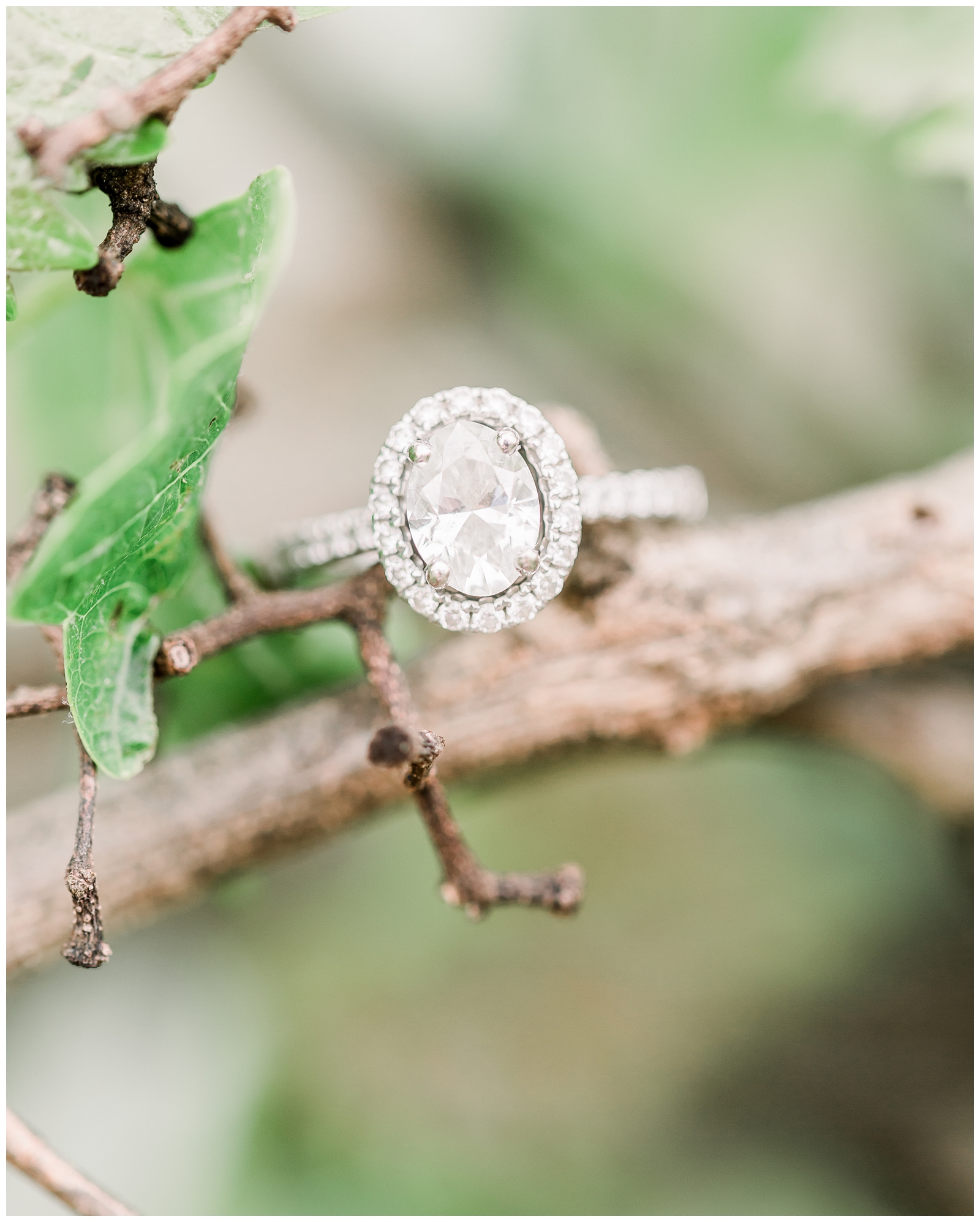 Atlanta engagement Session | Château Elan Winery | Georgia Wedding Photographer | Sarah Parker Photography