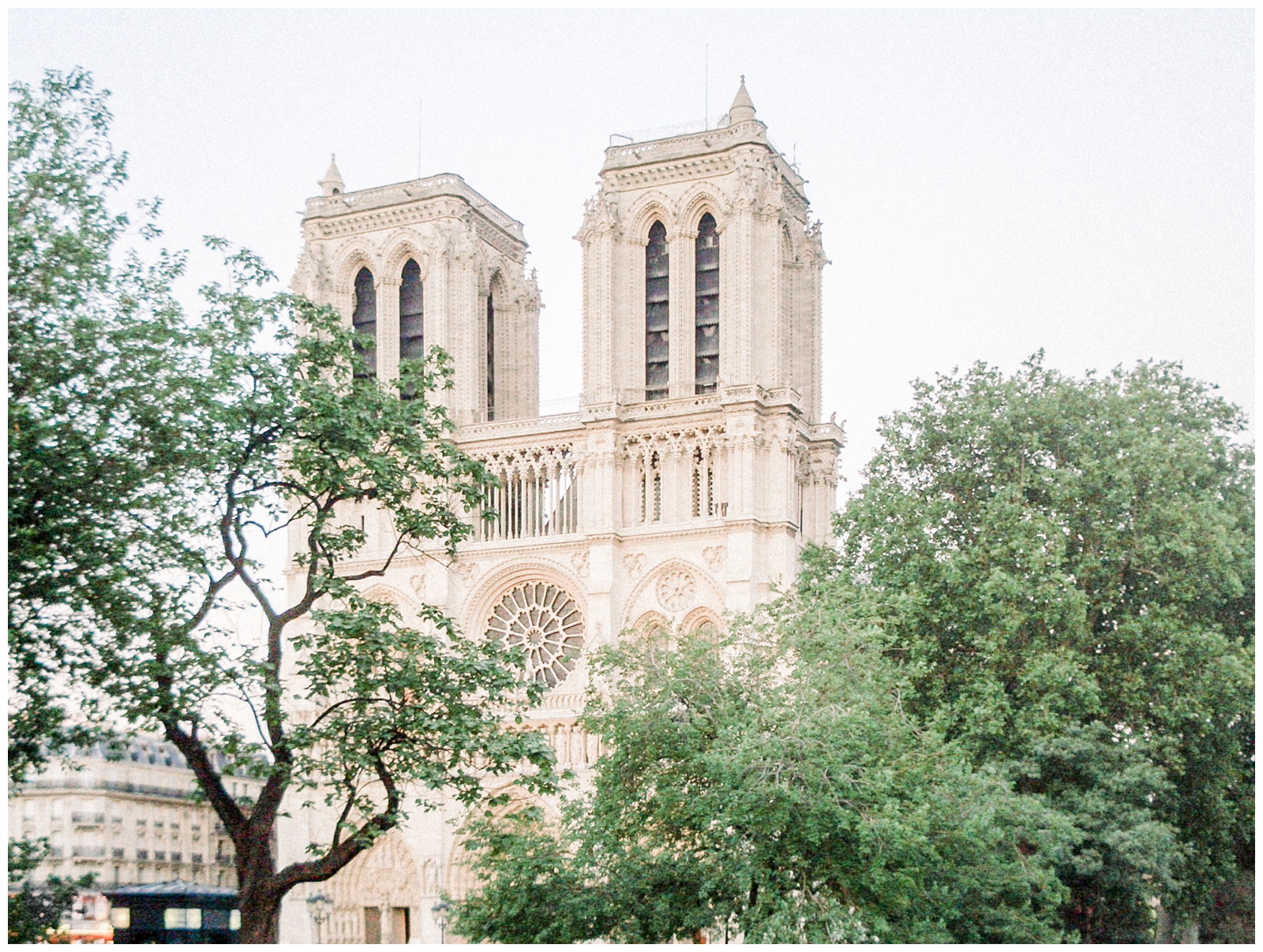 Notre Dame Cathedral, Paris, France, green trees